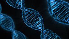ДНК-наноробот займется тераностикй рака