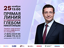 Прямая линия с губернатором Нижегородской области Глебом Никитиным пройдет 25 ноября