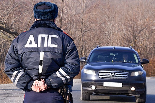 Правительство внесло в ГД предложение о задержании авто без лишних протоколов