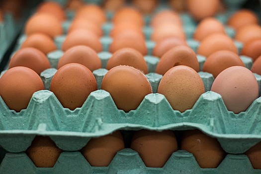 Учёные назвали безопасное для здоровья количество яиц в день