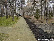 Мэрия Екатеринбурга просит УрГУПС найти другое место для бассейна 