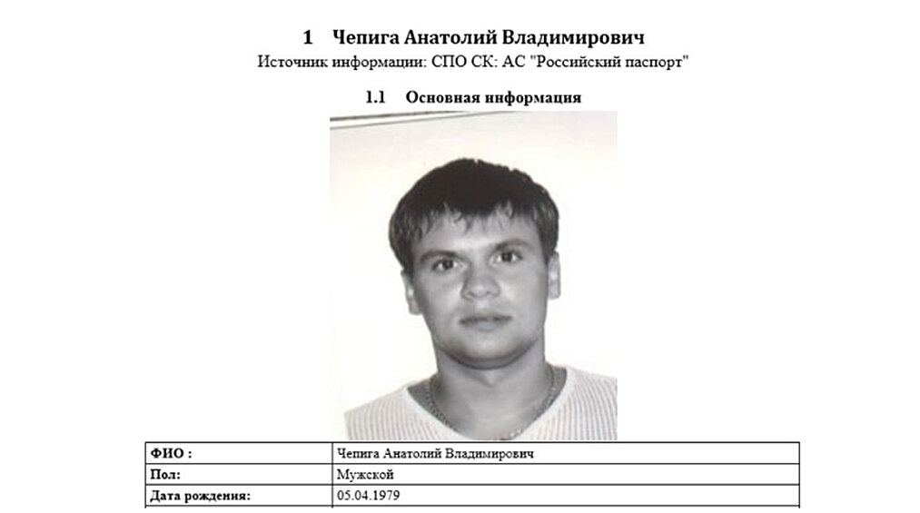 Скриншот системы «Российский паспорт»