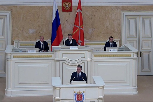 Парламентарии Новосибирской области и Санкт-Петербурга развивают сотрудничество