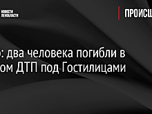 Видео: два человека погибли в лобовом ДТП под Гостилицами
