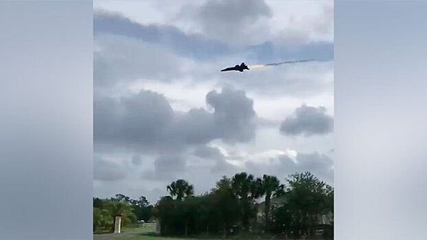 Птица подбила истребитель ВМС США по время авиашоу: видео