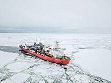 В 2030 году грузопоток по Севморпути, как ожидается, достигнет 200 млн т