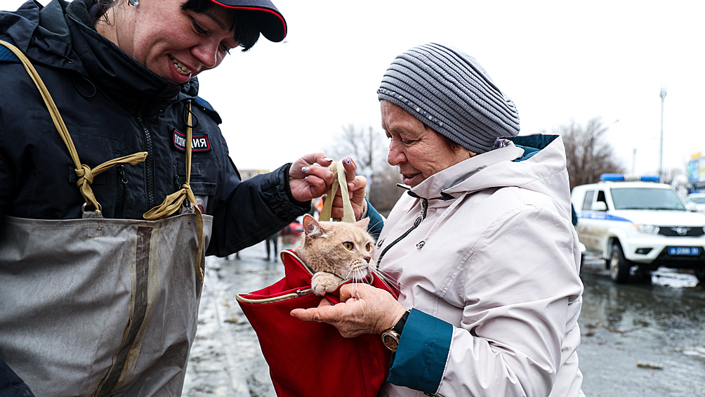 Сотрудник полиции и жительница города с кошкой во время эвакуации жителей в Ленинском районе