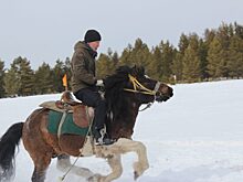 Кириэстээххэ бастыҥ сылгыһыты таллылар