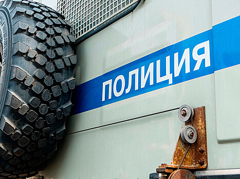 Омбудсмены Петербурга обвинили полицию в немотивированных задержаниях на акции по делам "Нового величия" и "Сети"