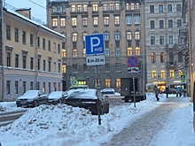 Штрафуют ли водителей на платных парковках в Петербурге во время сбоев системы
