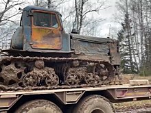 Полицейские пресекли деятельность «черных лесорубов»