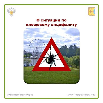 В Кировской области от укусов клещей пострадали более 20 тысяч человек