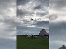 Свалился в штопор: крушение самолета под Тольятти сняли на видео
