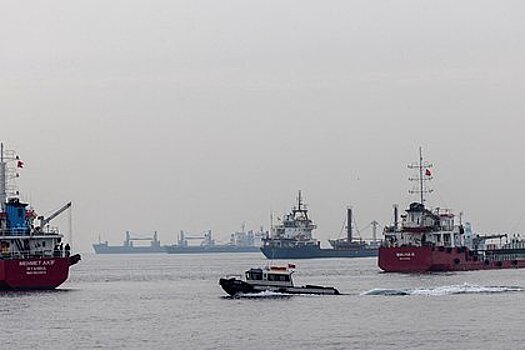 В России отреагировали на отказ Турции от полного возобновления транзита товаров