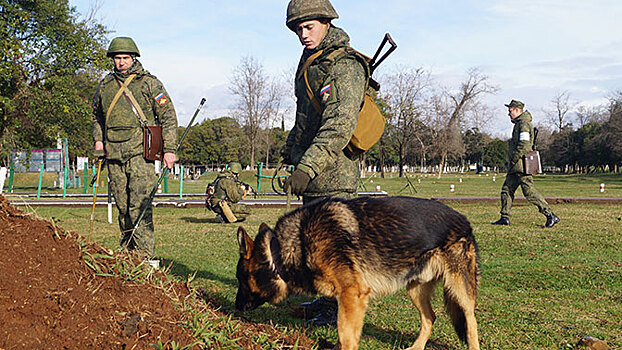 Российские военнослужащие в Абхазии обнаружили и уничтожили взрывчатку с использованием минно-розыскных собак