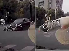 Кроссовок слетел с ноги мотоциклиста и чуть не разбил лобовое стекло: видео