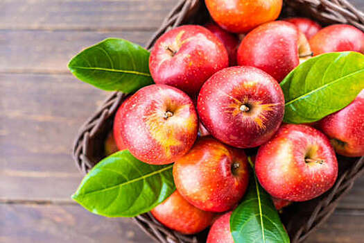 Врач Соломатина: при проблемах с ЖКТ и аллергии опасно есть яблоки
