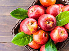 В Минсельхозе Молдавии сообщили о снижении экспорта яблок в Россию более чем на 50%