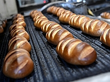 Россиянам пообещали хлеб из белка насекомых