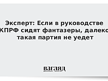 В КПРФ считают, что после выборов можно говорить о формировании в РФ двухпартийной системы