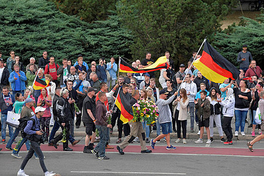 Экс-депутат Гердт: протестами против АдГ немцев пытаются отвлечь от кризиса
