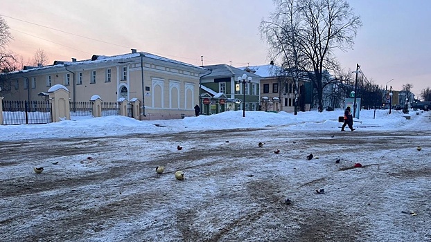 Вандалы сорвали елочные игрушки на Кремлёвской площади в Вологде