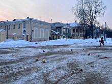 В Вологде задержали вандалов, которые испортили новогоднее украшение