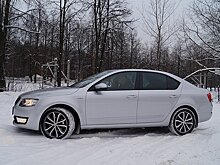 Skoda Octavia Hockey Edition: шайба не засчитана