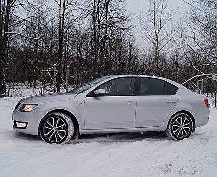 Skoda Octavia Hockey Edition: шайба не засчитана