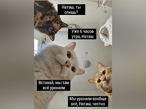 Эксперт по патентам рассказала, есть ли смысл регистрировать свои мемы