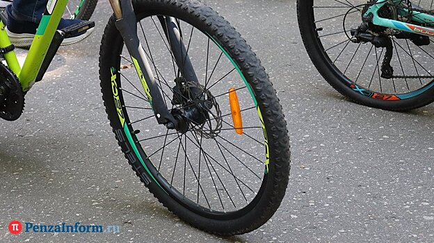 В Пензе ищут свидетелей наезда на 11-летнюю велосипедистку