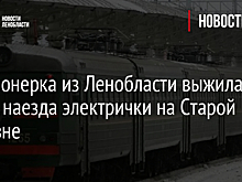 Пенсионерка из Ленобласти выжила после наезда электрички на Старой Деревне