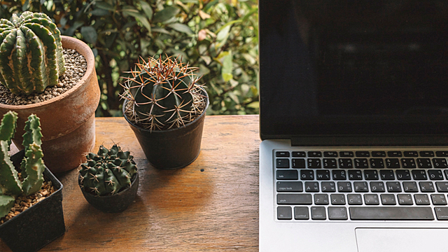 Какие обереги поставить на рабочий стол в офисе