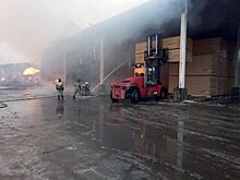 Пожар на деревообрабатывающем заводе в Ленобласти тушили почти сутки