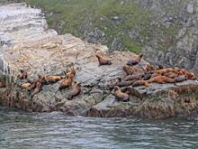 Какой иркутский маршрут вошел в топ Национального туристического рейтинга?
