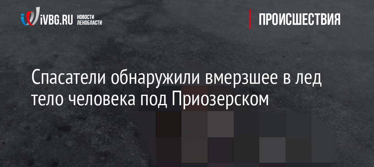 Спасатели обнаружили вмерзшее в лед тело человека под Приозерском