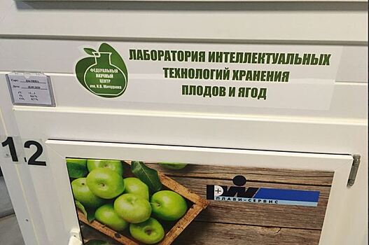 В Мичуринске открыли единственную в России лабораторию интеллектуальных технологий хранения плодов и ягод