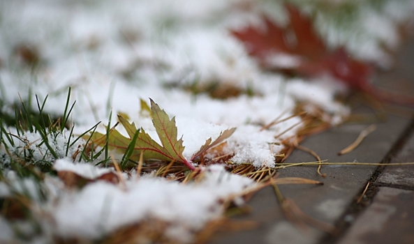 Волгоградцам рассказали, когда ждать первый снег