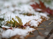 Волгоградцам рассказали, когда ждать первый снег