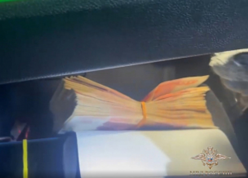 Нижегородские полицейские задержали подозреваемого в неправомерном обороте средств платежей на сумму более 113 млн рублей