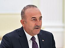 Турция рассчитывает в феврале провести с Россией саммит по Сирии