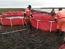 На Камчатке ищут виновных в утечке нефти