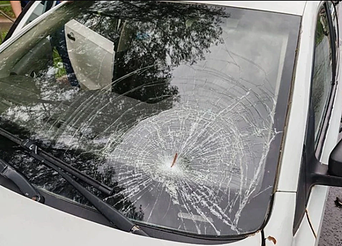 Костромичка погибла, спасая внука