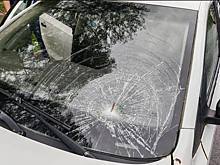 Костромичка погибла, спасая внука