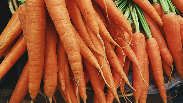 В Казахстан не дали вывезти из Саратовской области 20 тонн моркови