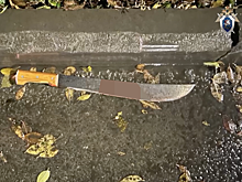 В Челябинске мужчину заподозрили в попытке порубить мачете экс-жену с сожителем