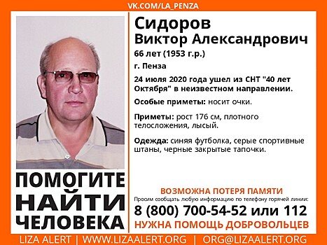 В Пензе ищут 66-летнего дачника