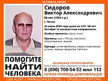 В Пензе ищут 66-летнего дачника