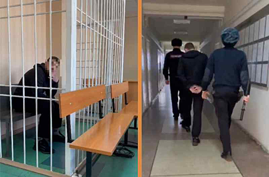 Гособвинитель запросил 12 лет колонии для "танцующего убийцы" из Новосибирска