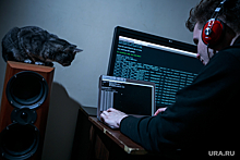 Сайт властей ХМАО обрушился из-за массированной хакерской атаки